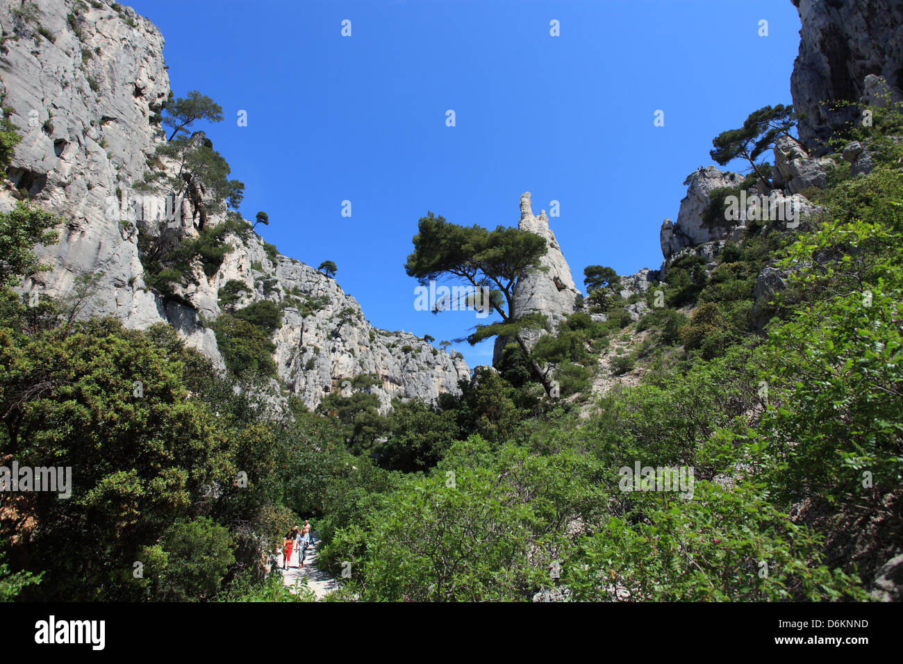 Le Calanche di en Vau, Cassis, Bouches du Rhône, 13, PACA, Francia. Foto Stock