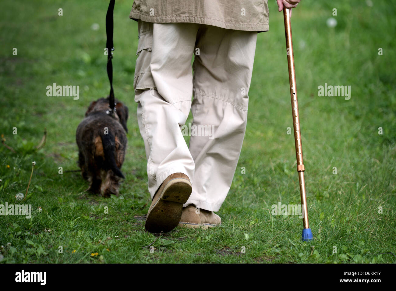 Berlino, Germania, un vecchio uomo che cammina con il suo cane per una passeggiata Foto Stock