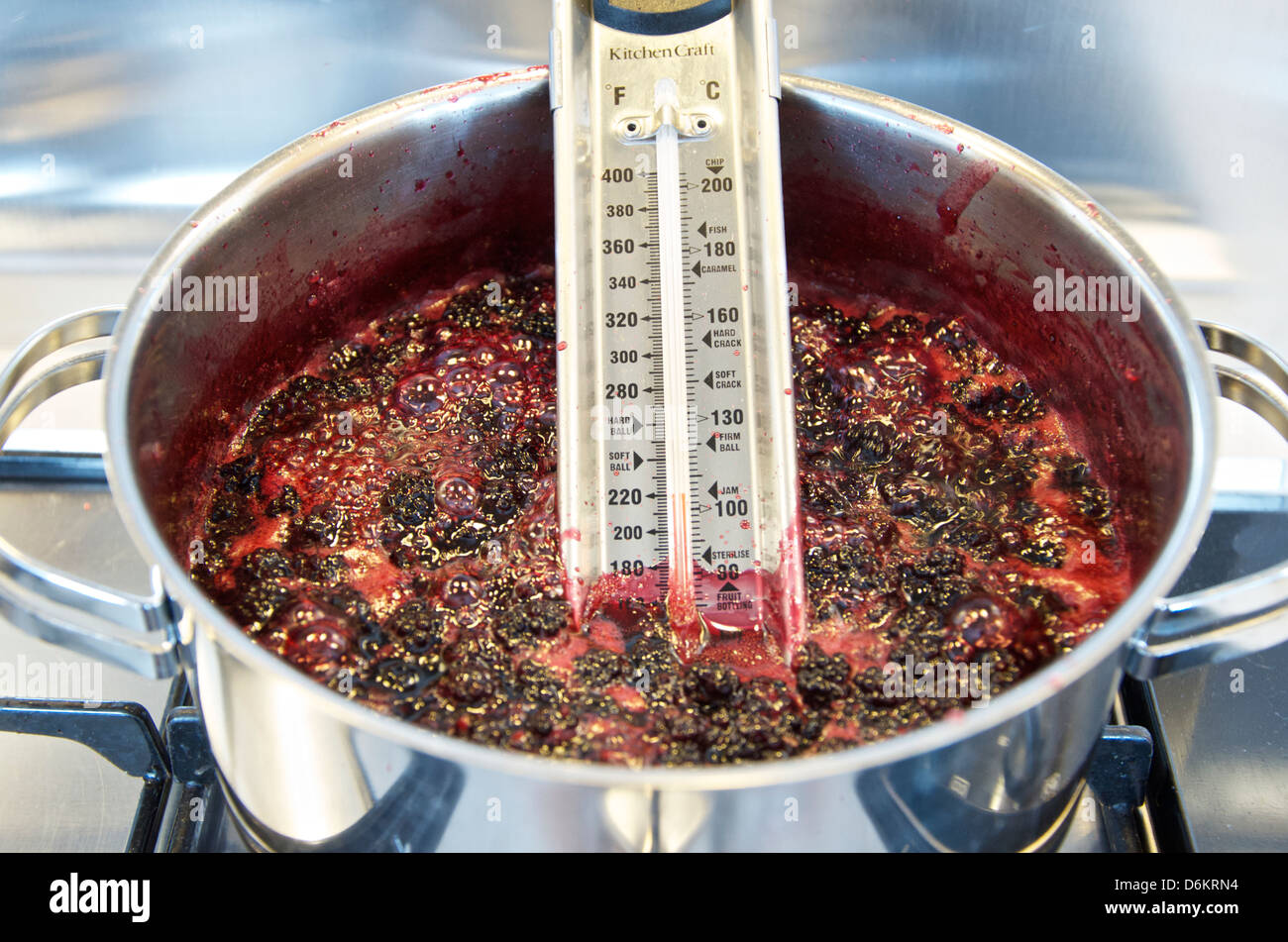 Fare Jam: passo 8/10, con punto di ebollizione di more, zucchero e acqua di raggiungere il punto di impostazione della temperatura sul termometro. Foto Stock