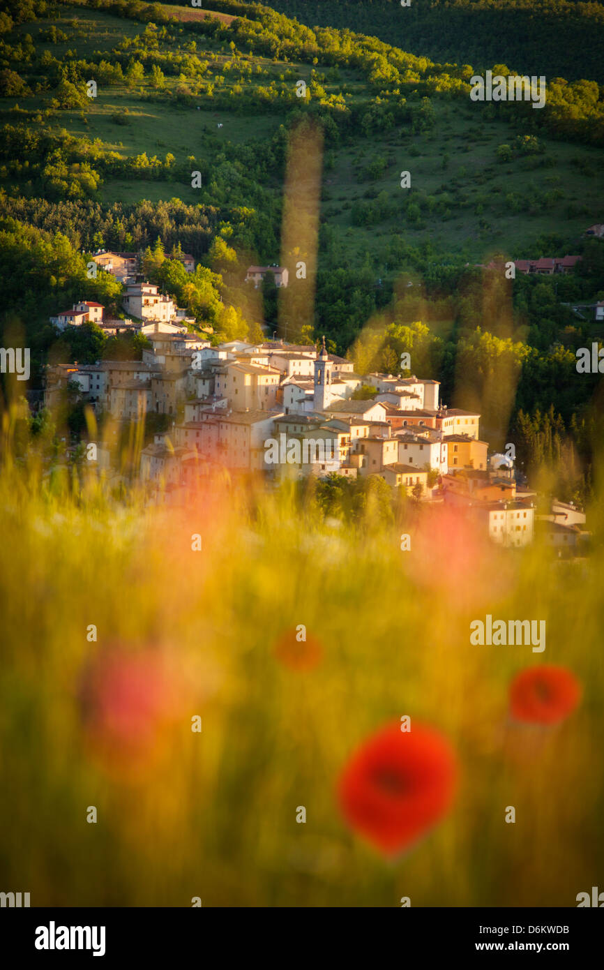 Vista attraverso un campo di fiori selvatici della città medievale di Preci nel Parco Nazionale dei Monti Sibillini, Umbria Italia Foto Stock