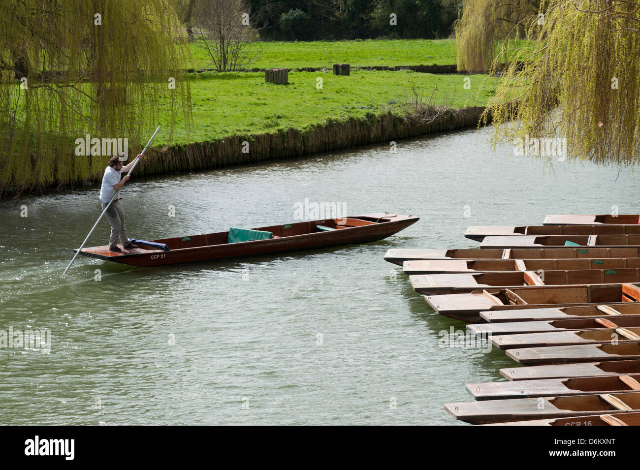 Persone punting sul fiume Cam in Cambridge Regno Unito Foto Stock