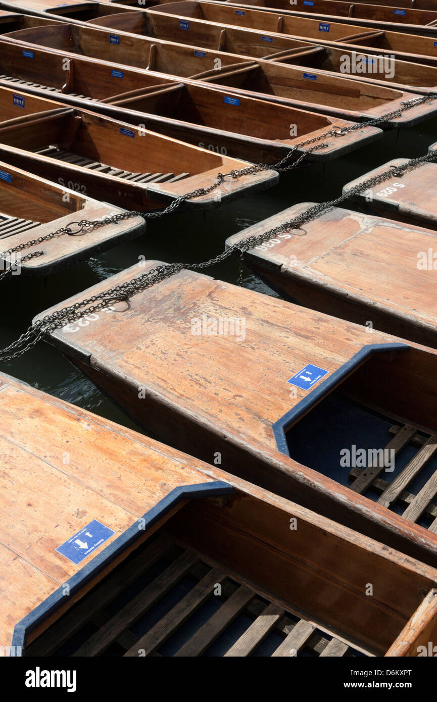 Configurazione astratta di Cambridge sterline allineati in corrispondenza di un posto barca sul fiume Cam Foto Stock