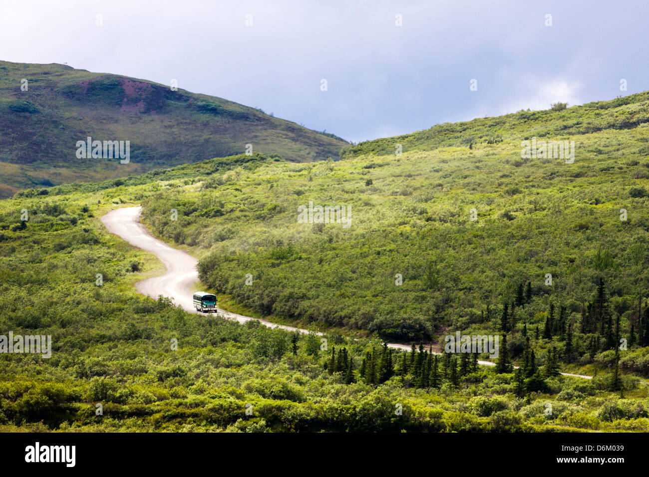 Gli autobus navetta su visitatori il limitato accesso Denali Park Road, Parco Nazionale di Denali, Alaska, STATI UNITI D'AMERICA Foto Stock