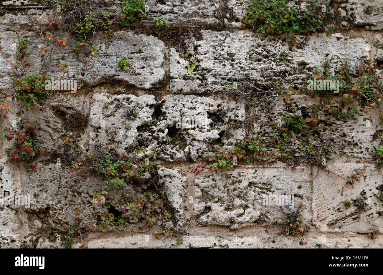 Dettagli in muri tra le strade di Palma de Maiorca centro città, Spagna Foto Stock