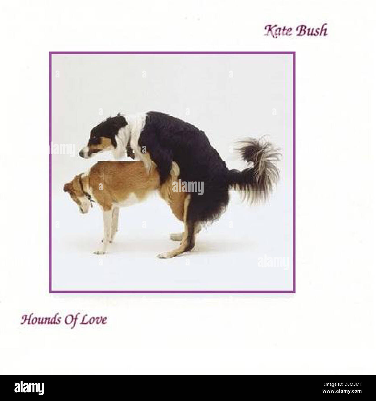 Kate Bush - segugi di amore dei membri della comunità di internet sono state recentemente invitato da un sito web di creare le loro proprie Foto Stock