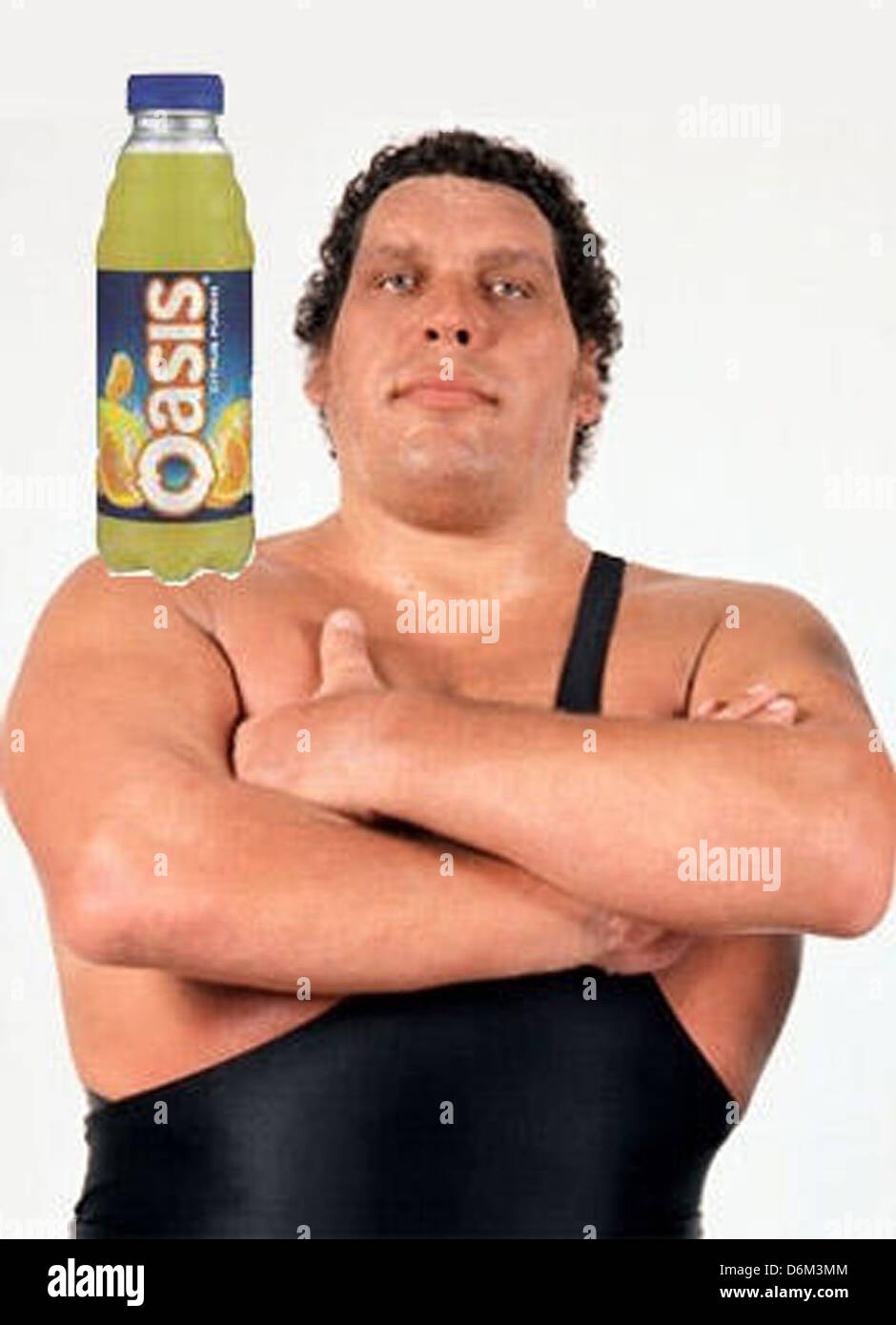 Oasis - permanente sulla spalla dei giganti dei membri della comunità di internet sono state recentemente invitato da un sito web di creare loro Foto Stock