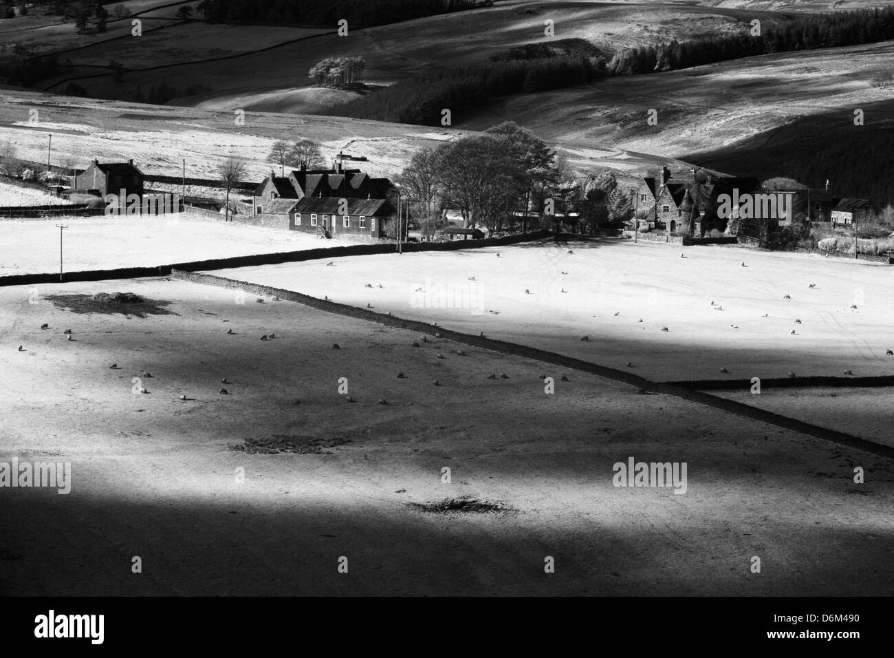 Inghilterra, County Durham, Derwent Valley. Infrarossi in bianco e nero girato di pacifica Derwent Valley Foto Stock