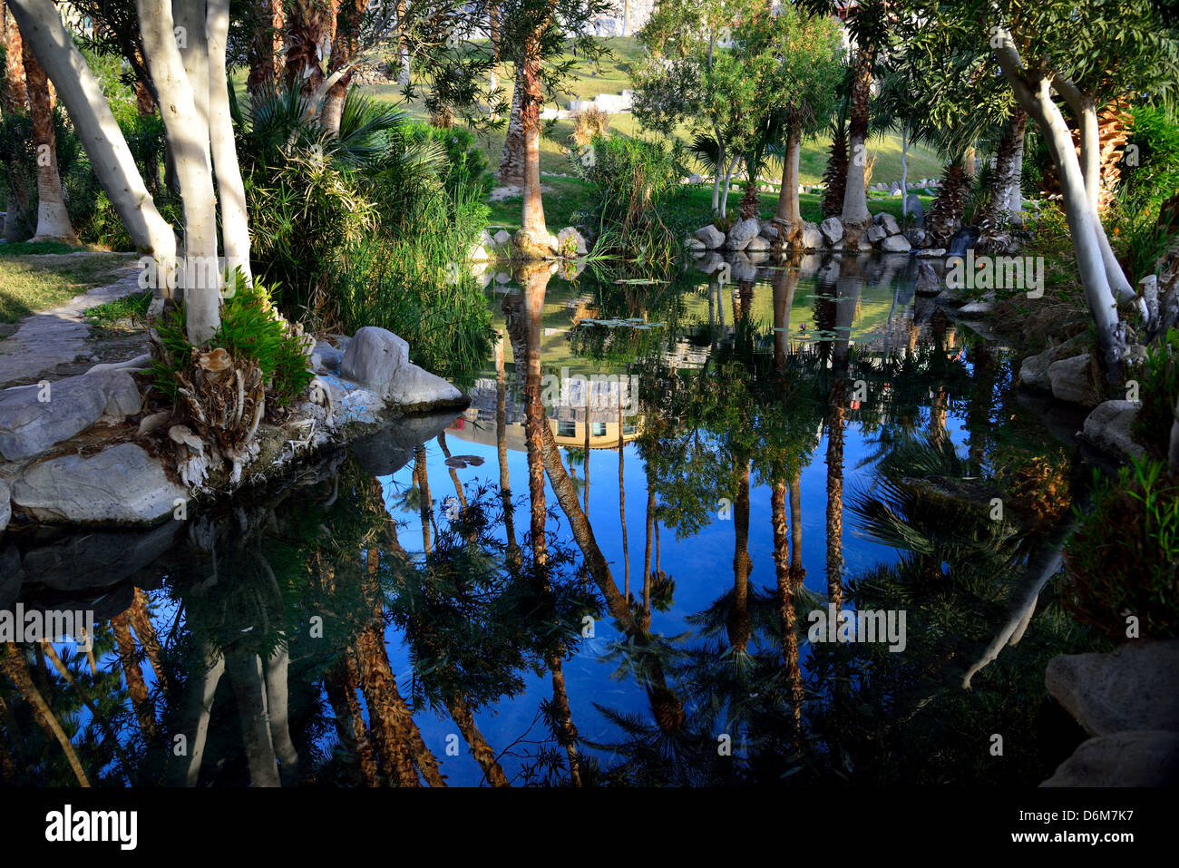 Lussureggiante verde circonda la piscina Oasis Al Forno Creek Inn. Parco Nazionale della Valle della Morte, California, Stati Uniti d'America. Foto Stock