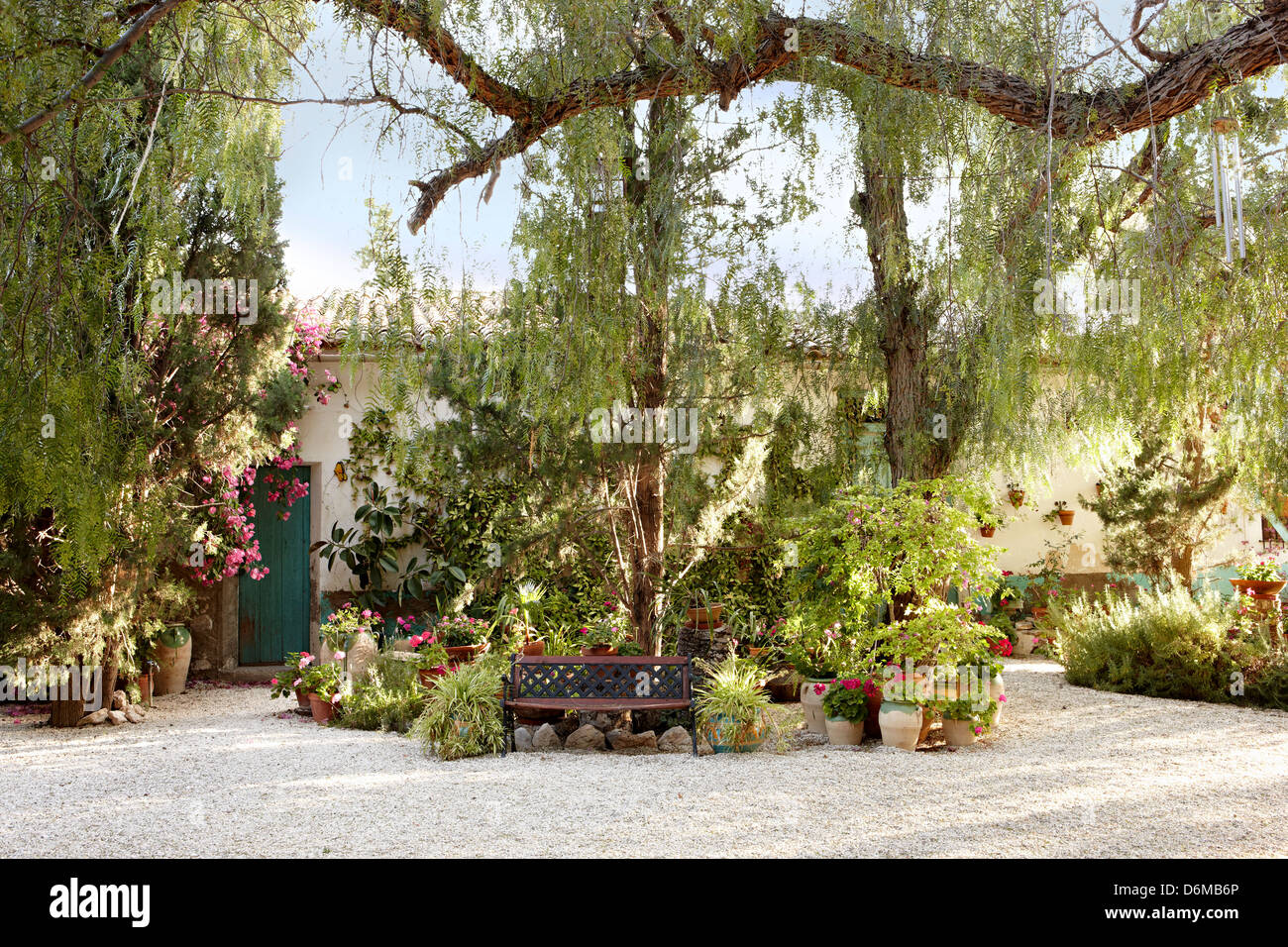 Beverly Feldman scarpe designer casa Alicante Spagna cortile giardino alberi viti su sospeso lussureggiante Foto Stock