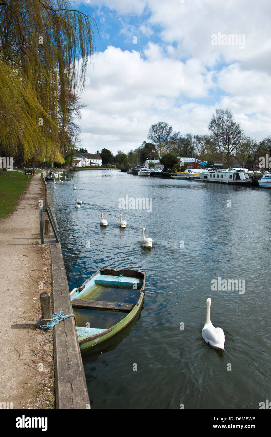 Thorpe St Andrew fiume y vengono Foto Stock