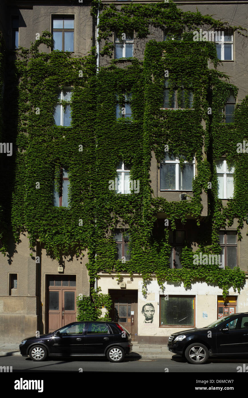 Berlino, Germania, ricoperta da Rankgewaechs facciata di un vecchio edificio Foto Stock