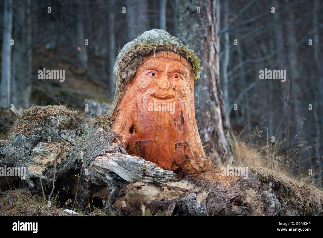 Gli elfi nella foresta Foto Stock