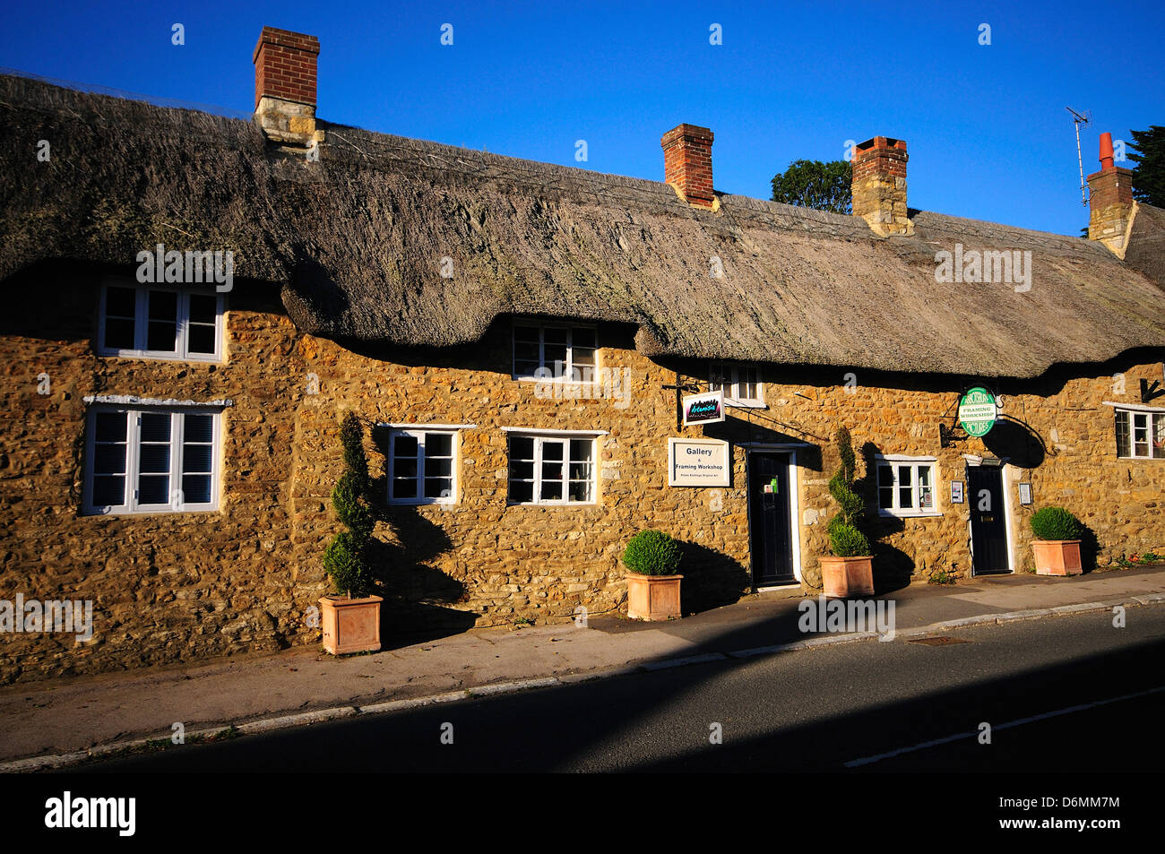 Una vista di cottage con il tetto di paglia a Abbotsbury Dorset Foto Stock