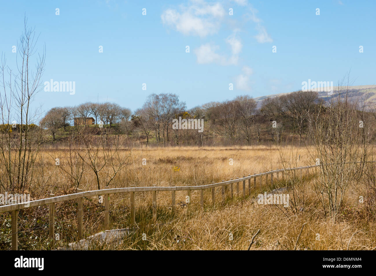 Generali di inizio primavera vista di terreni paludosi e dal passaggio attraverso Ynyshir RSPB riserva naturale, il Galles centrale. Foto Stock