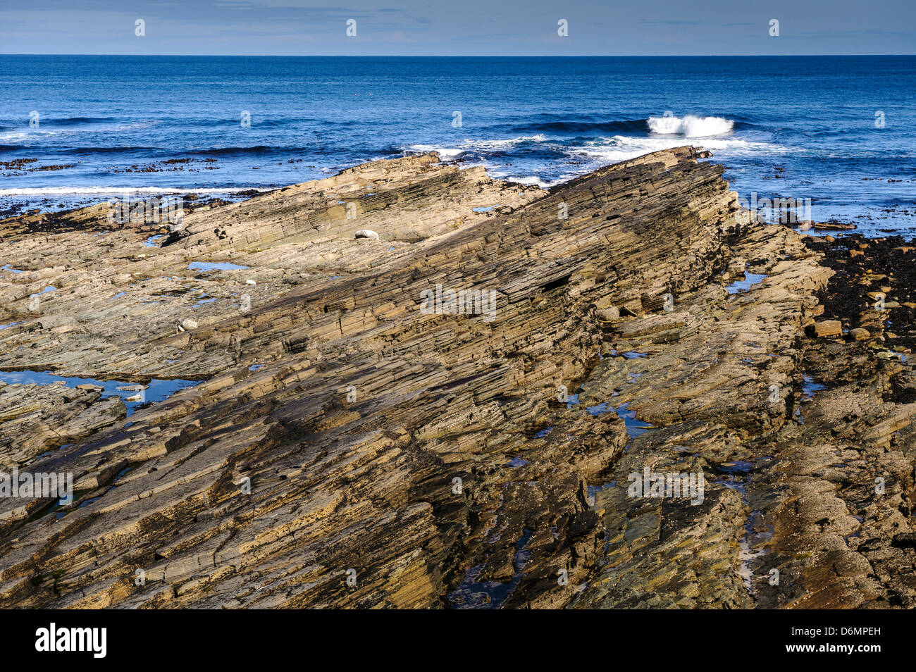 Coastal Uplift, Orkney continentale Foto Stock