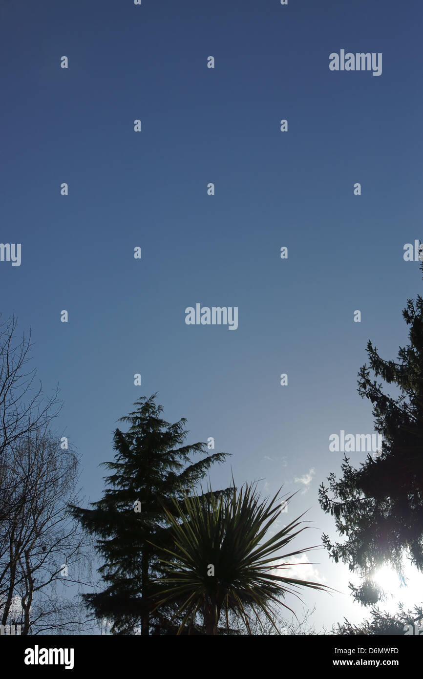 Blu chiaro giorni d'estate sole che splende in piena luminosità Foto Stock