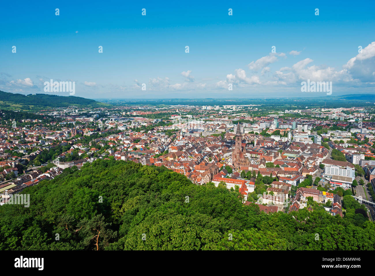 Freiburg, Baden-Württemberg, Germania, Europa Foto Stock