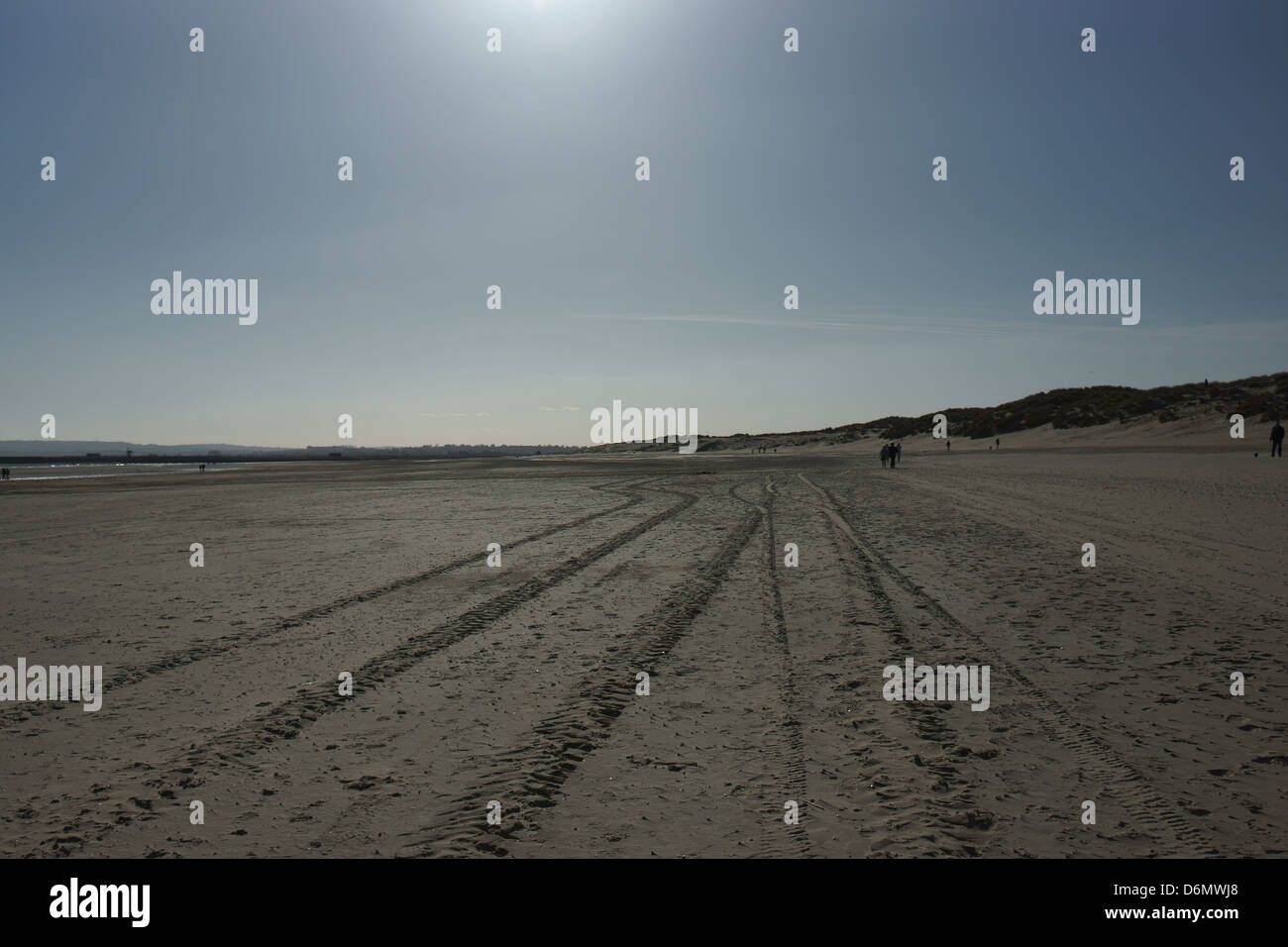 Auto le vie di sabbia spiaggia tropicale erba terra cielo chiaro Foto Stock