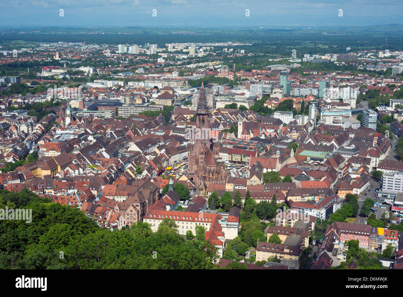 Cattedrale di Friburgo, Freiburg, Baden-Württemberg, Germania, Europa Foto Stock