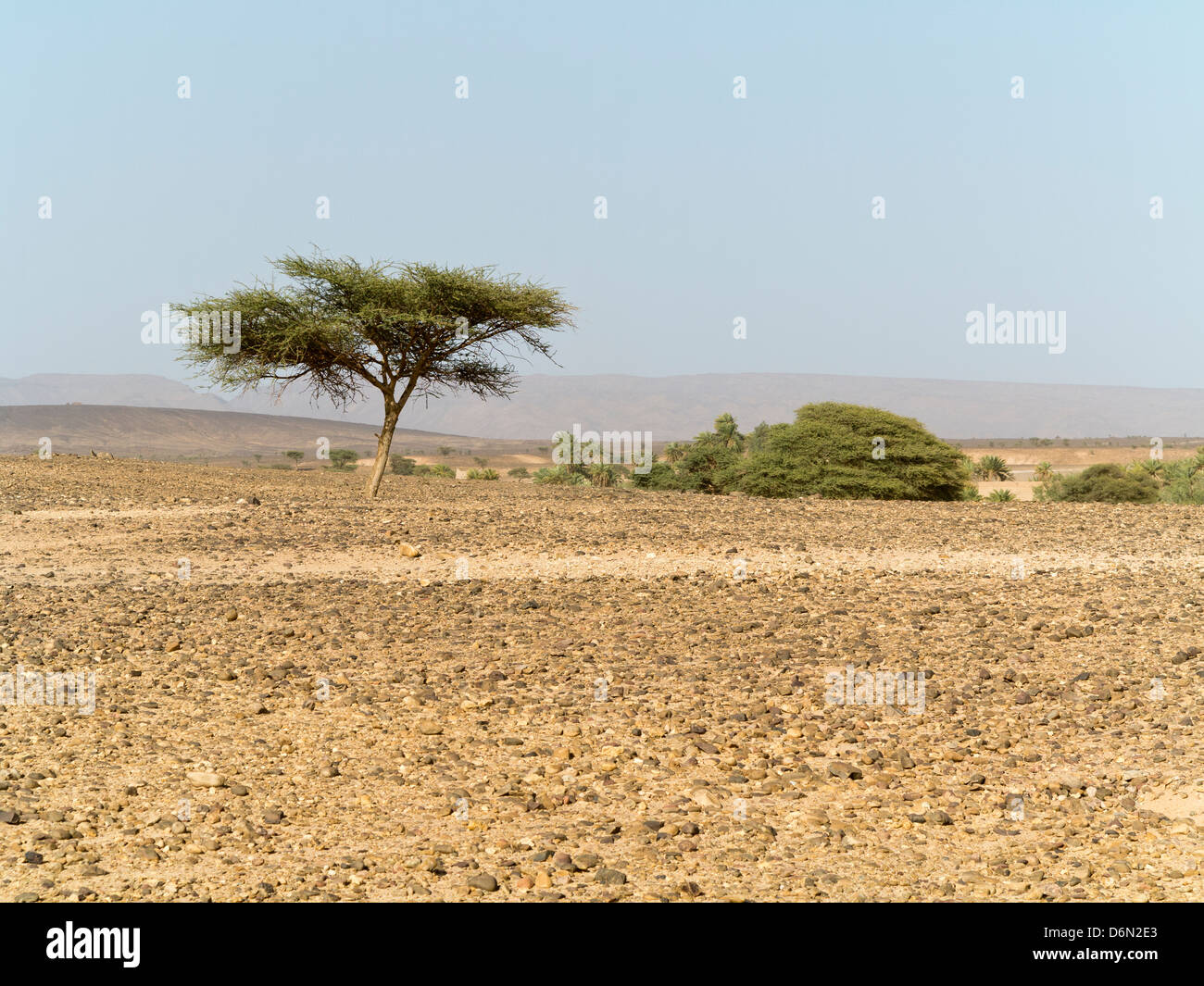 Paesaggio marocchino - guardando attraverso le pianure del sud del Marocco Foto Stock