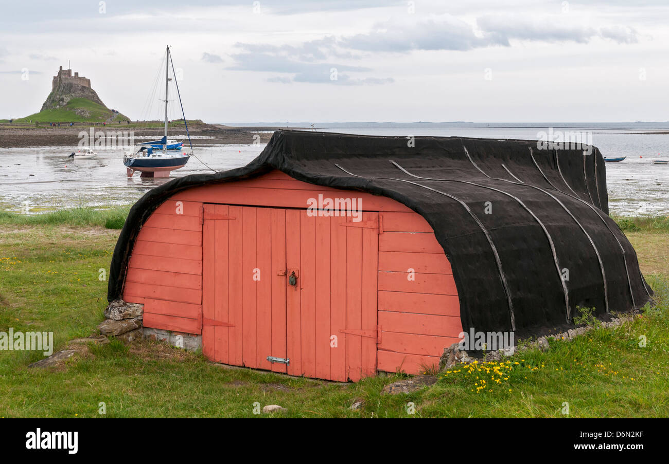 Gran Bretagna, Isola Santa, barca rovesciata scafo utilizzata come storage shed, Lindisfarne Castle in distanza Foto Stock