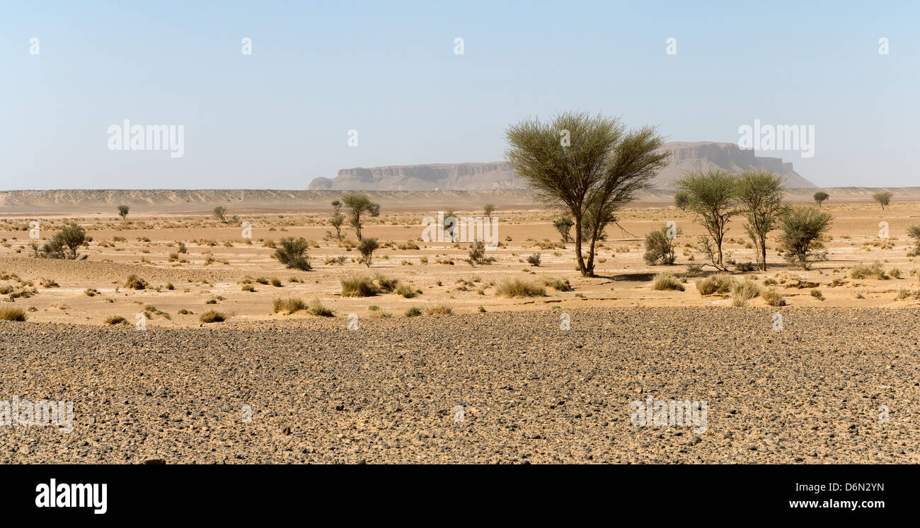 Paesaggio marocchino - guardando attraverso le pianure del sud del Marocco Foto Stock