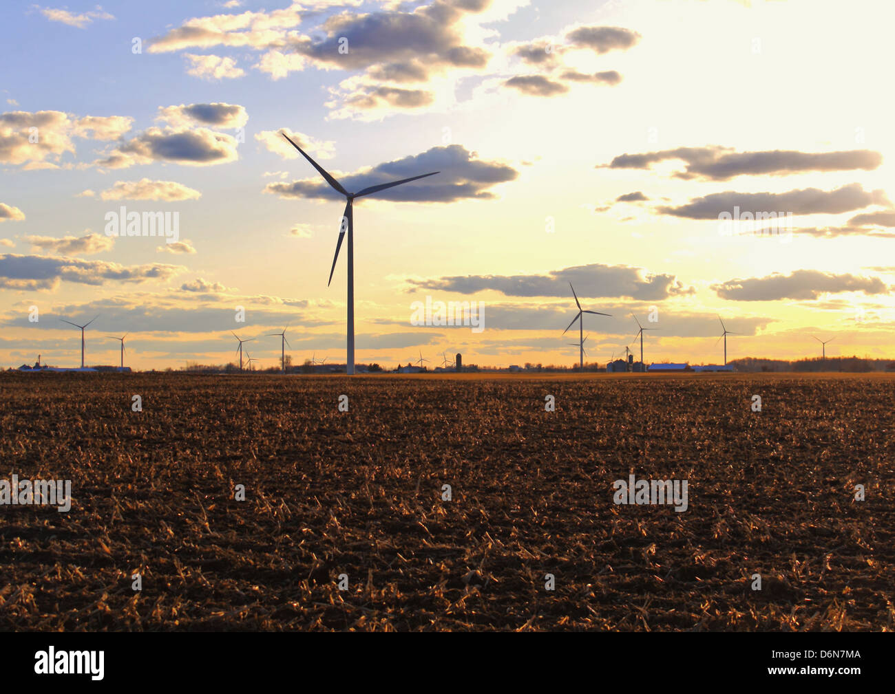 Wind Farm con campo agricolo in primo piano. Foto Stock