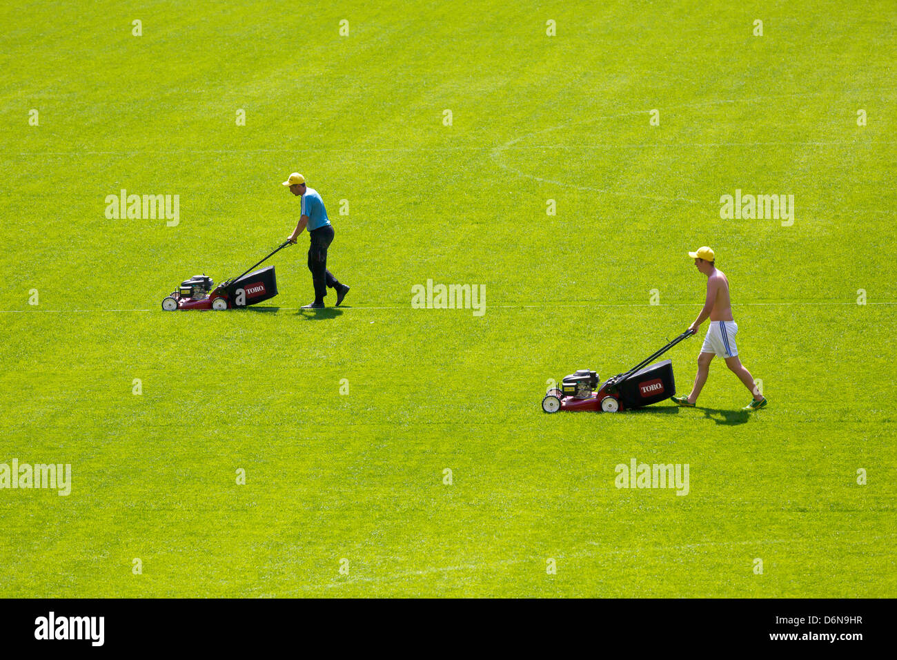 Lviv, Ucraina, la cura del prato all'Arena Lviv, Spielstaette per l'Euro 2012 Foto Stock