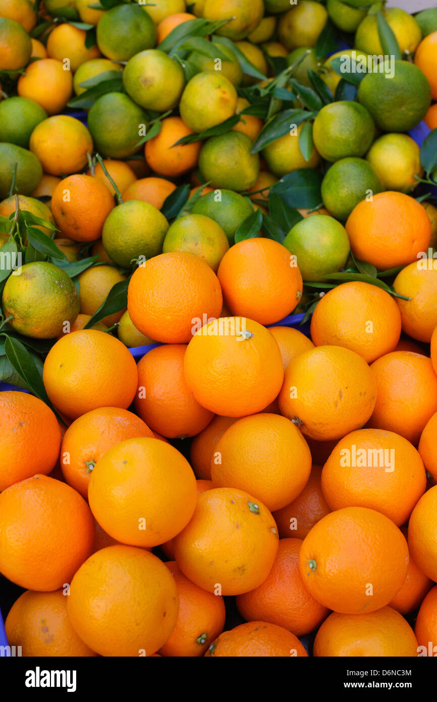 Inca, Spagna, i mandarini e le arance in un mercato di Maiorca Foto Stock