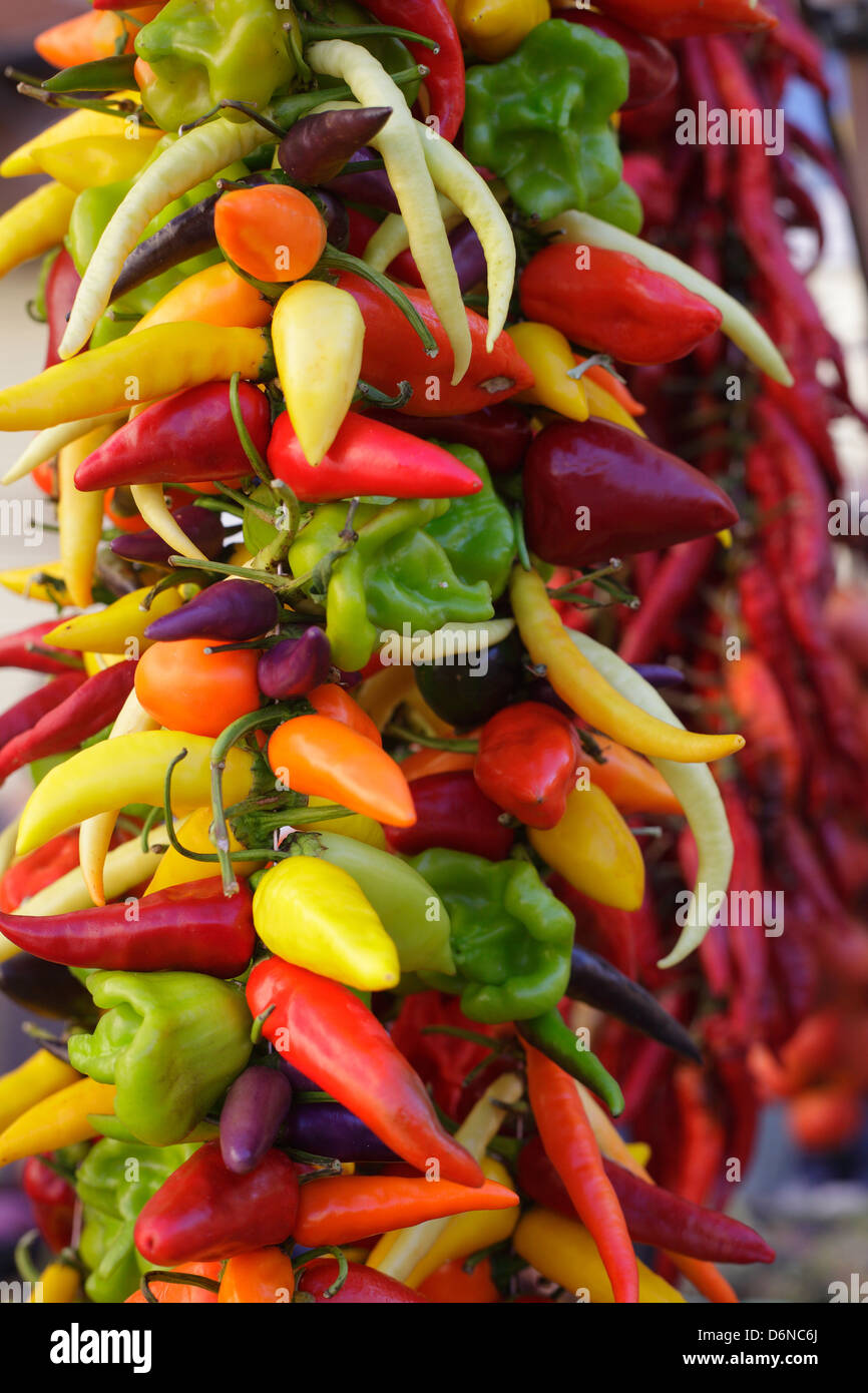 Inca, Mallorca, Spagna, peperoni e peperoncino essiccato i peperoni in un mercato Foto Stock
