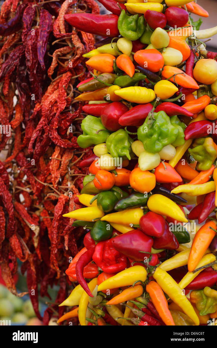 Inca, Mallorca, Spagna, peperoni e peperoncino essiccato i peperoni in un mercato Foto Stock