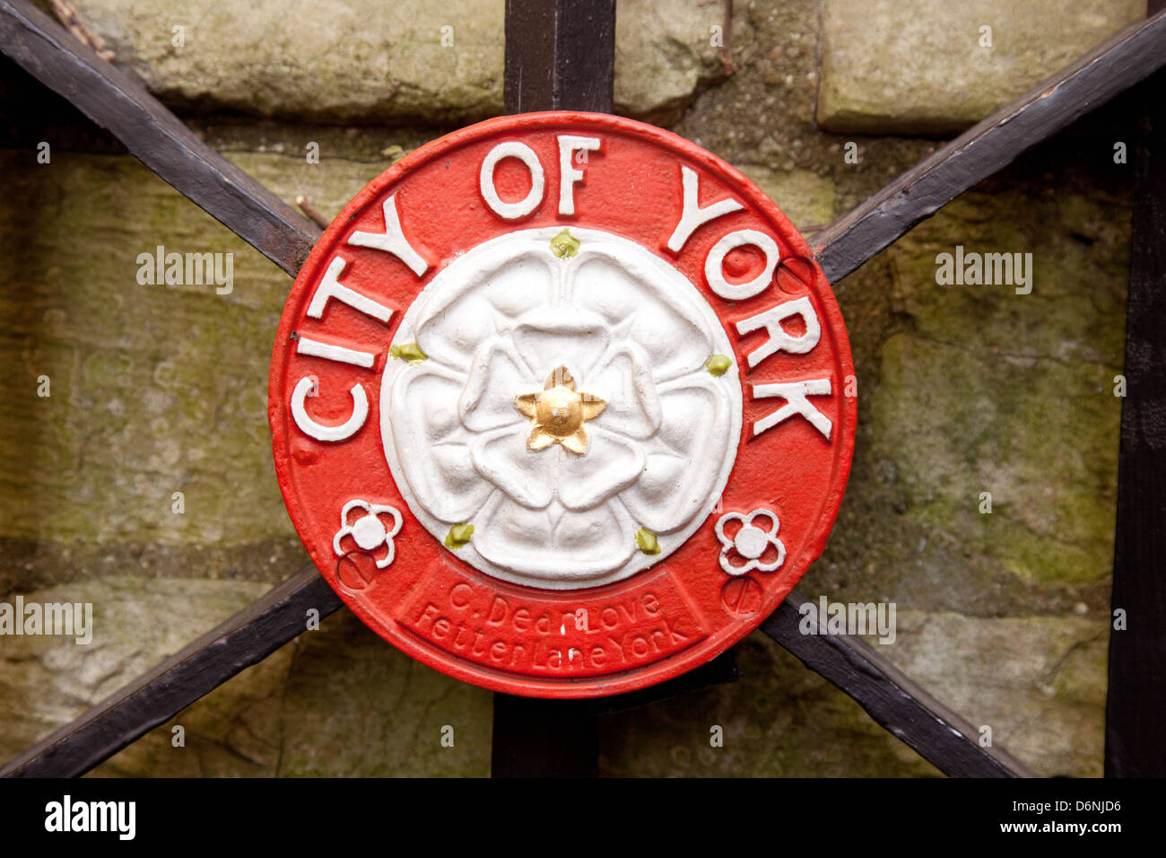 La rosa bianca simbolo della casa di York, la città di York e Yorkshire, Regno Unito Foto Stock
