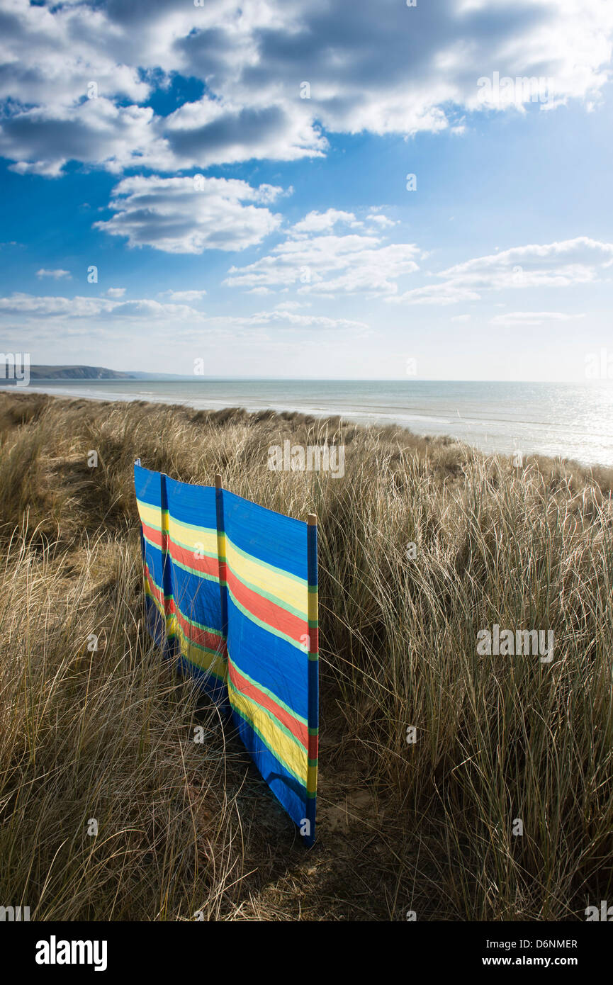 Un colorato frangivento a Ynyslas beach e sandunes riserva naturale, Galles Ceredigion REGNO UNITO Foto Stock