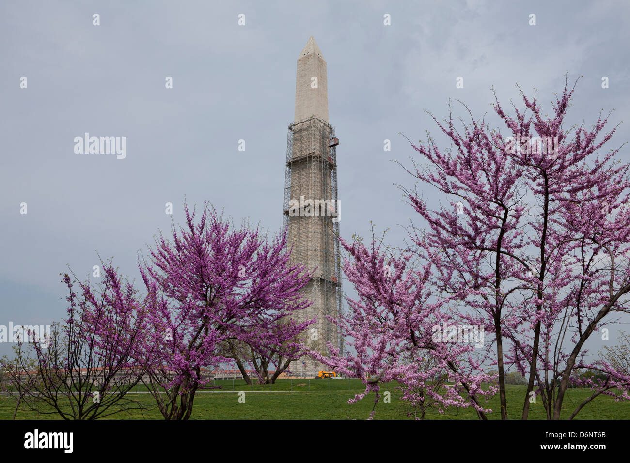 Il Monumento di Washington subendo danni del terremoto il restauro - Washington DC, Stati Uniti d'America Foto Stock