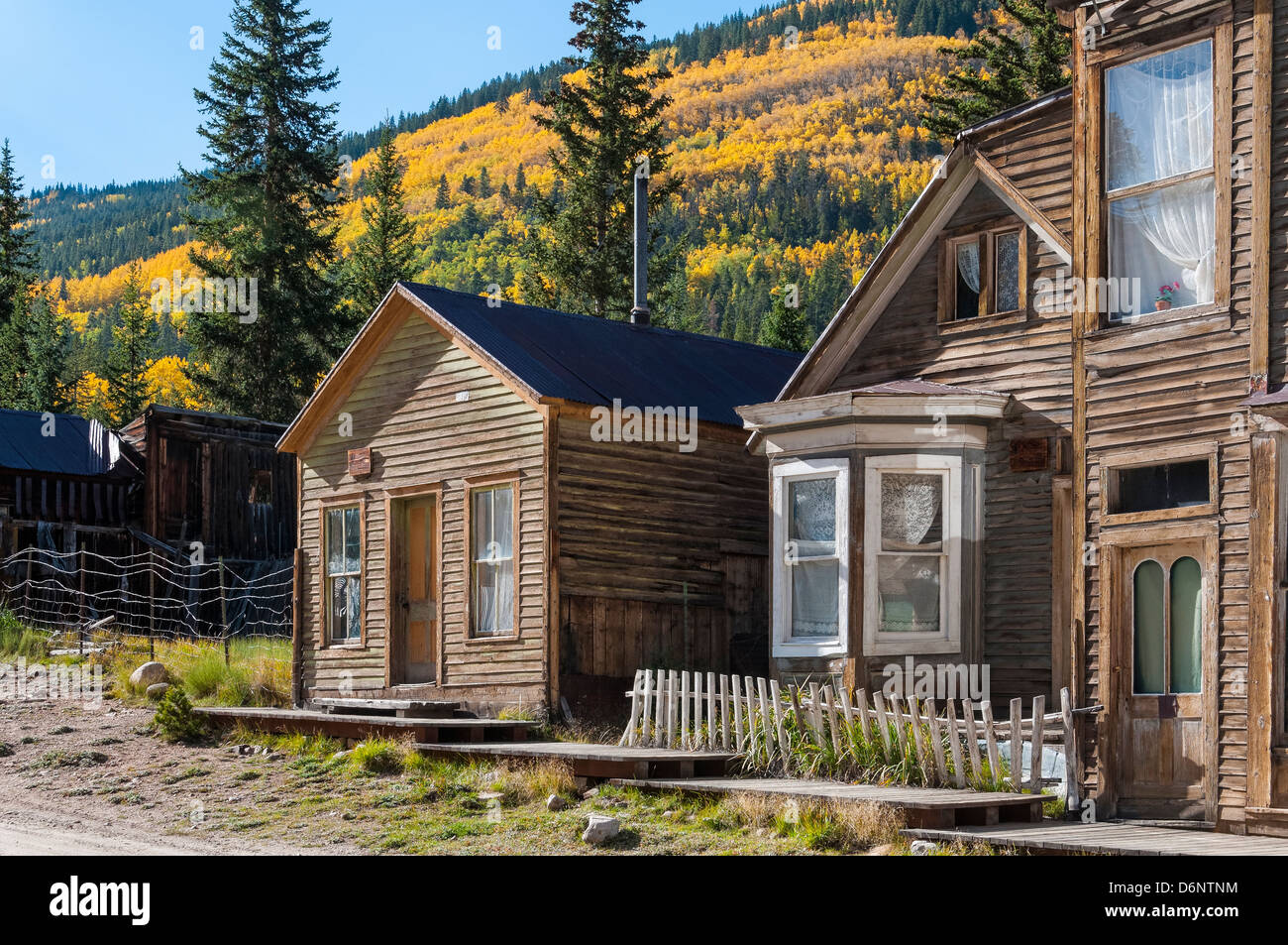 Casa con finestra di baia, fogliame autunnale, Sant Elmo, Sawatch montagne, Colorado. Foto Stock