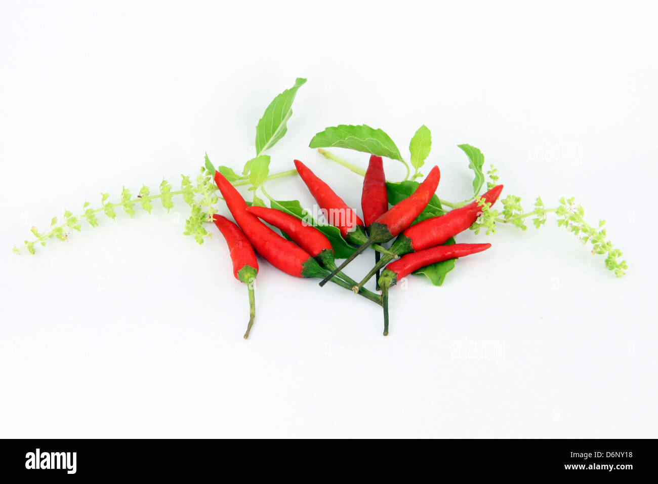 Granulo di colore rosso brillante essere peperoni piccanti. Foto Stock