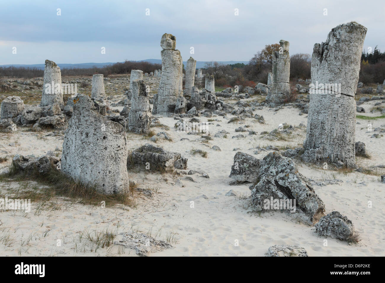 Formazione di roccia a 50 milioni di anni e la foresta di pietra (Pobiti Kamani), protetto come monumento nazionale e nella provincia di Varna, Bulgaria Foto Stock