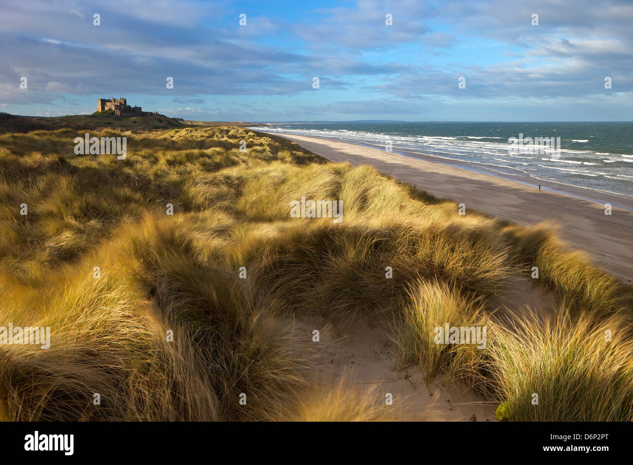 Marram grass, la spiaggia e il surf con il castello di Bamburgh in distanza, Bamburgh, Northumberland, England, Regno Unito, Europa Foto Stock