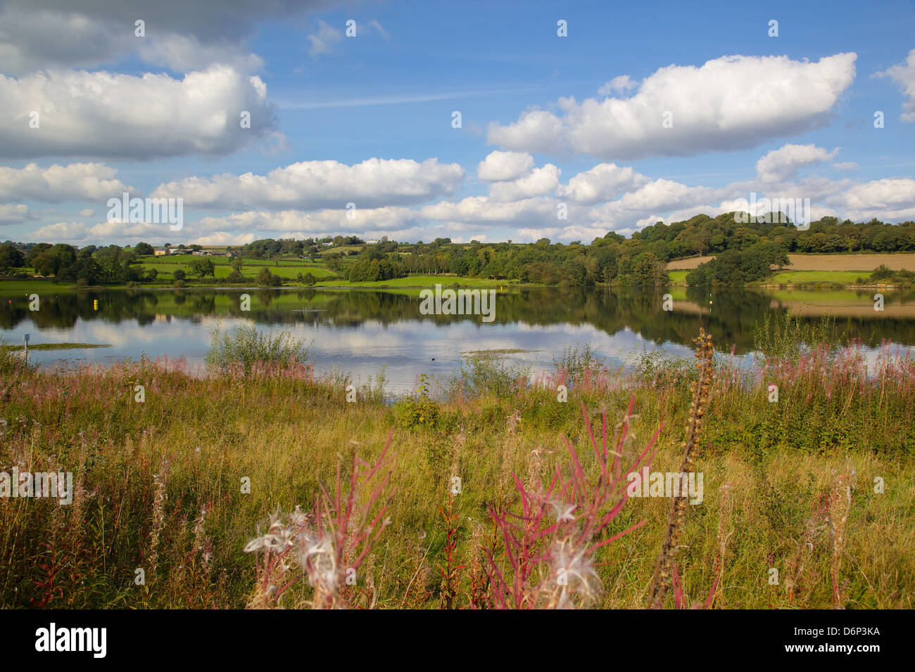 Ogston Reservoir, Derbyshire, England, Regno Unito, Europa Foto Stock