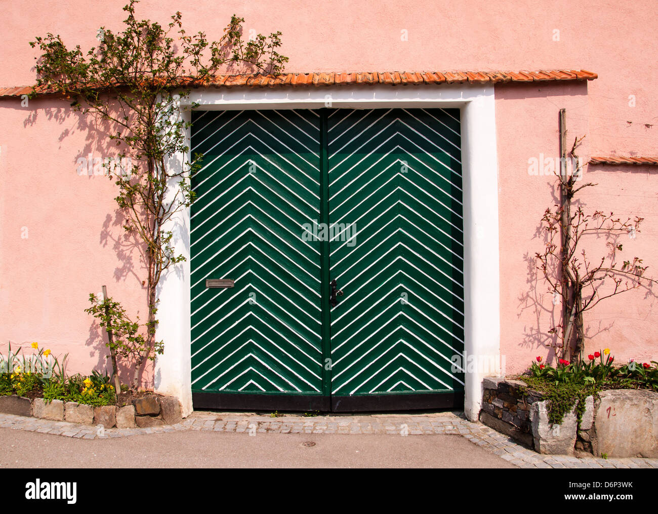 Il verde porta di legno in una parete rosa con vitigni Foto Stock