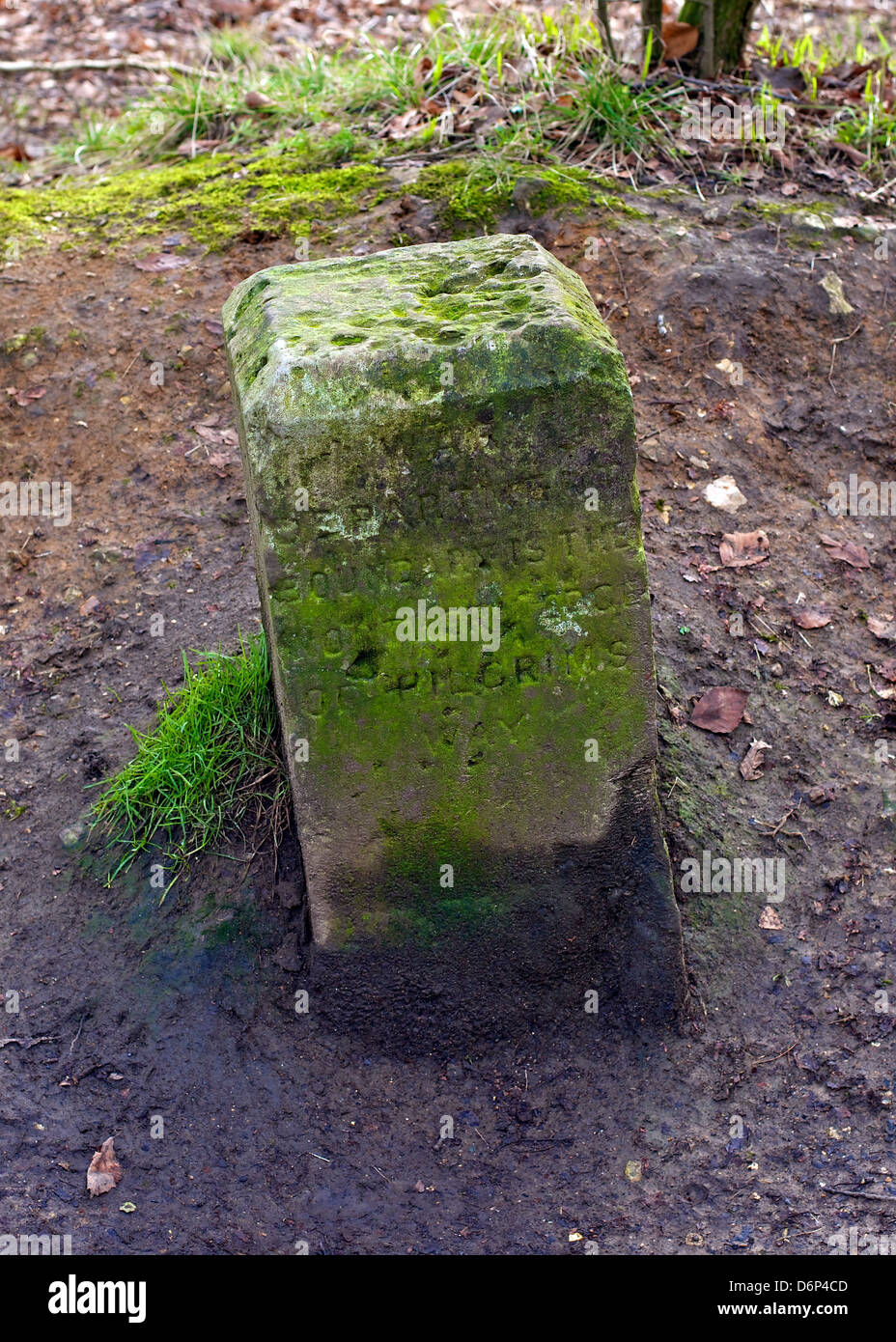 Dipartimento di guerra Post Marker n. 13 Reigate Surrey iscrizione recita "reparto guerra di confine è il bordo settentrionale della via dei pellegrini' Foto Stock