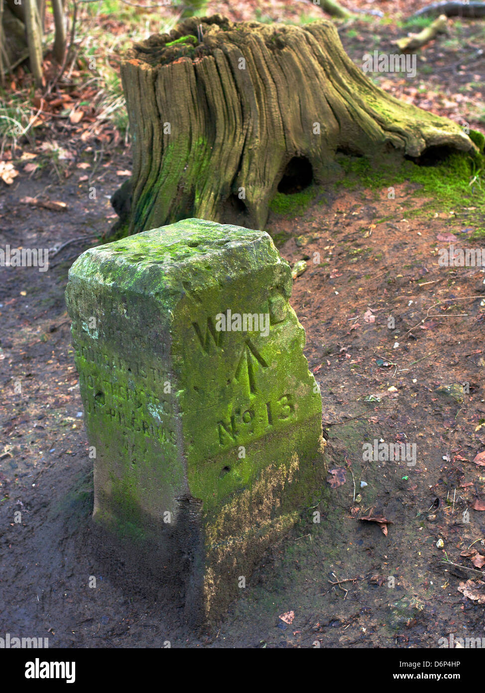 Dipartimento di guerra Post Marker n. 13 Reigate Surrey iscrizione recita "reparto guerra di confine è il bordo settentrionale della via dei pellegrini' Foto Stock