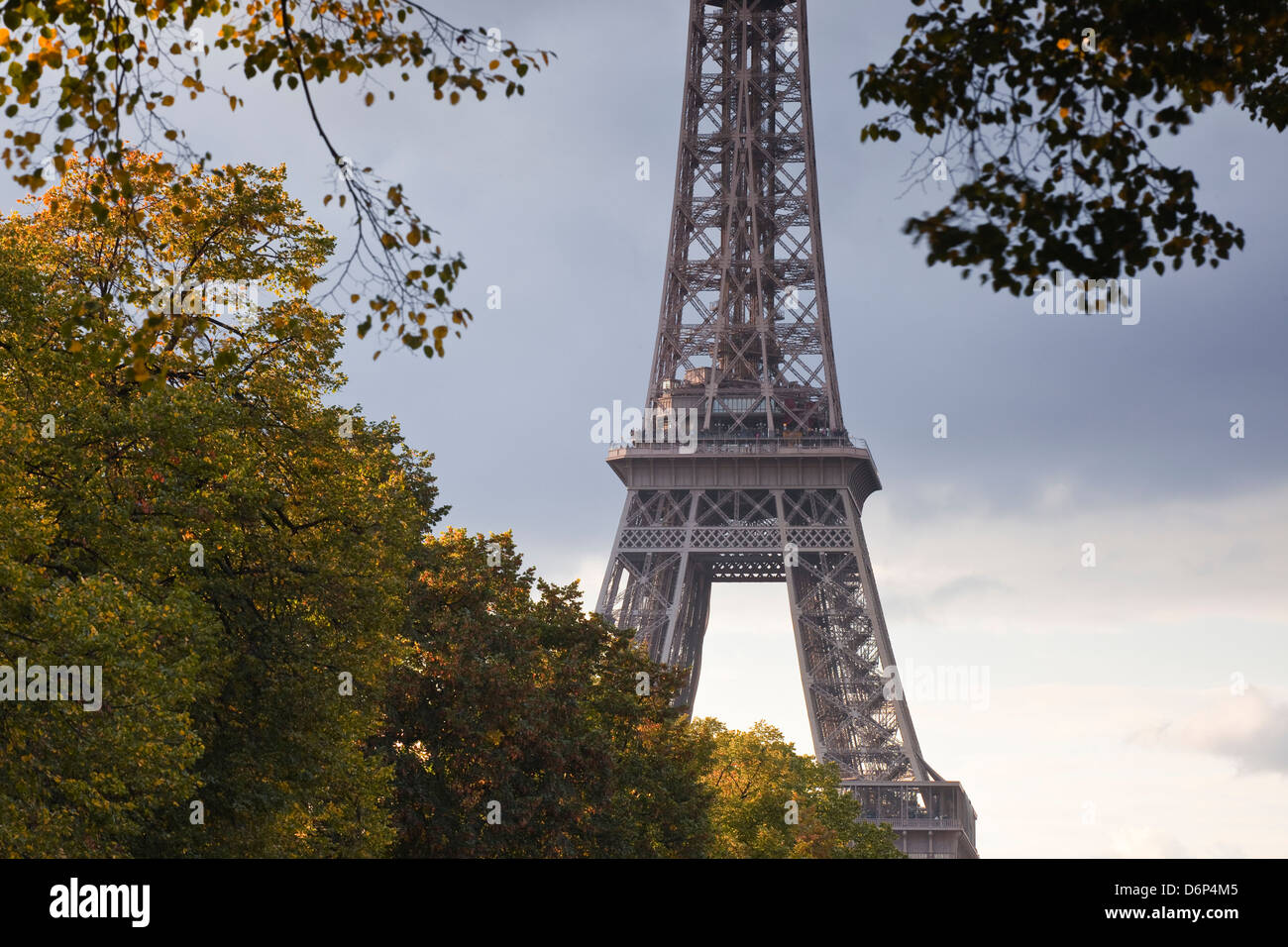 La Torre Eiffel da Champ de Mars, Parigi, Francia, Europa Foto Stock