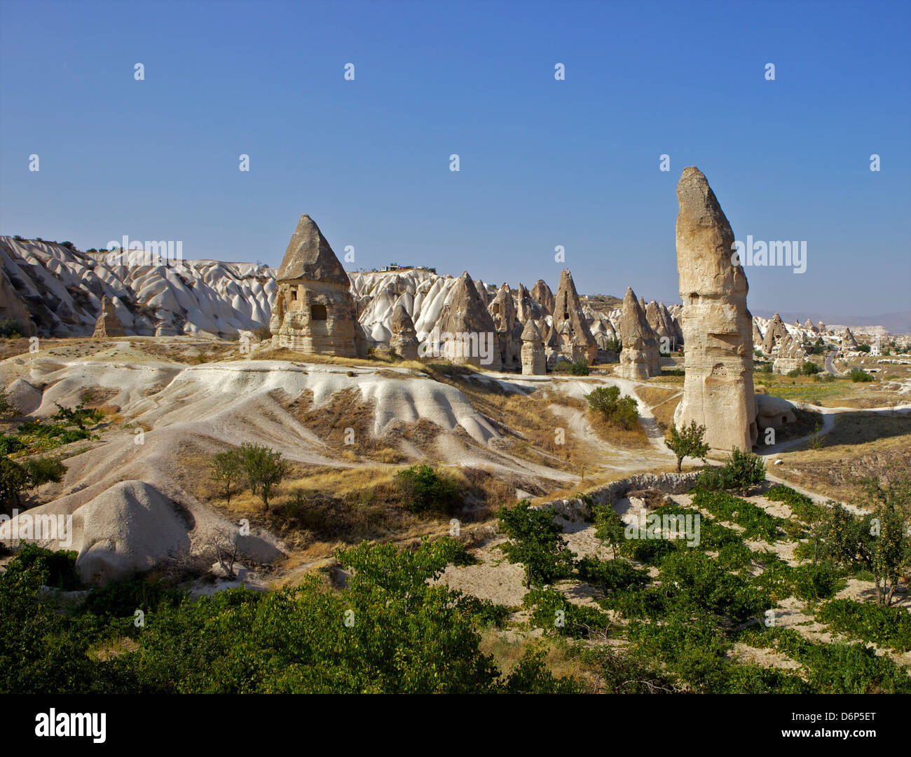 Camini di Fata rock formazione paesaggio nei pressi di Goreme, Cappadocia, Anatolia, Turchia, Asia Minore, Eurasia Foto Stock