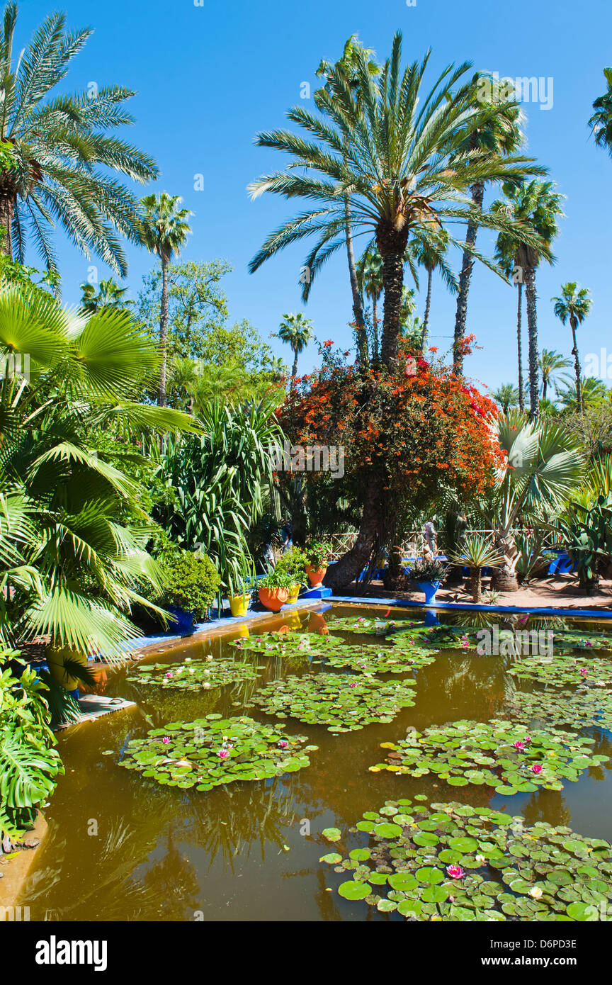 Stagno e Palm tree, Giardini di Majorelle (giardini di Yves Saint Laurent), Marrakech, Marocco, Africa Settentrionale, Africa Foto Stock