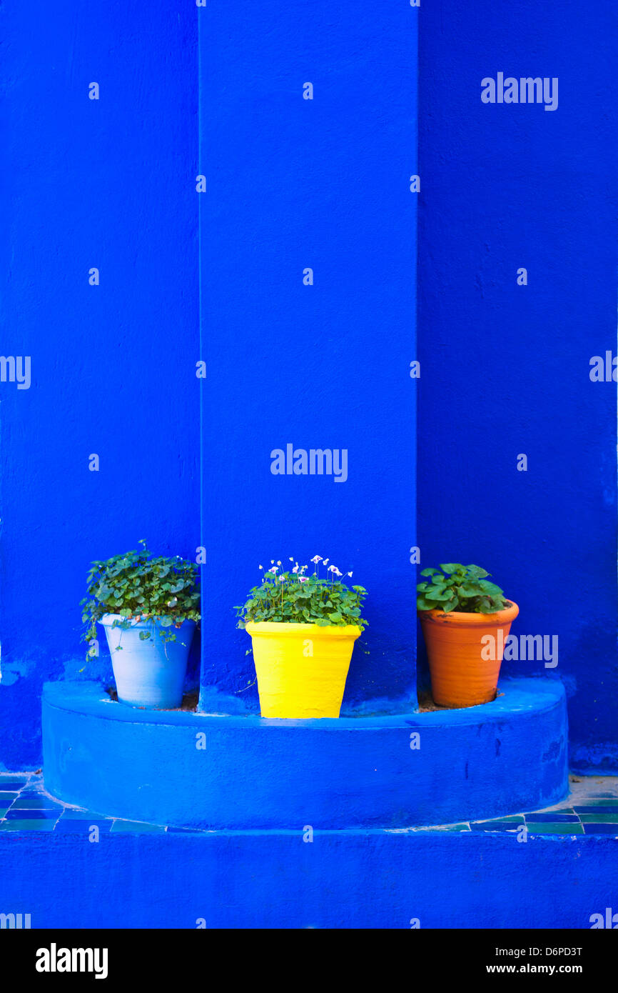 Piante in vaso e un blu brillante vernice, Giardini di Majorelle (giardini di Yves Saint Laurent), Marrakech, Marocco, Africa del Nord Foto Stock