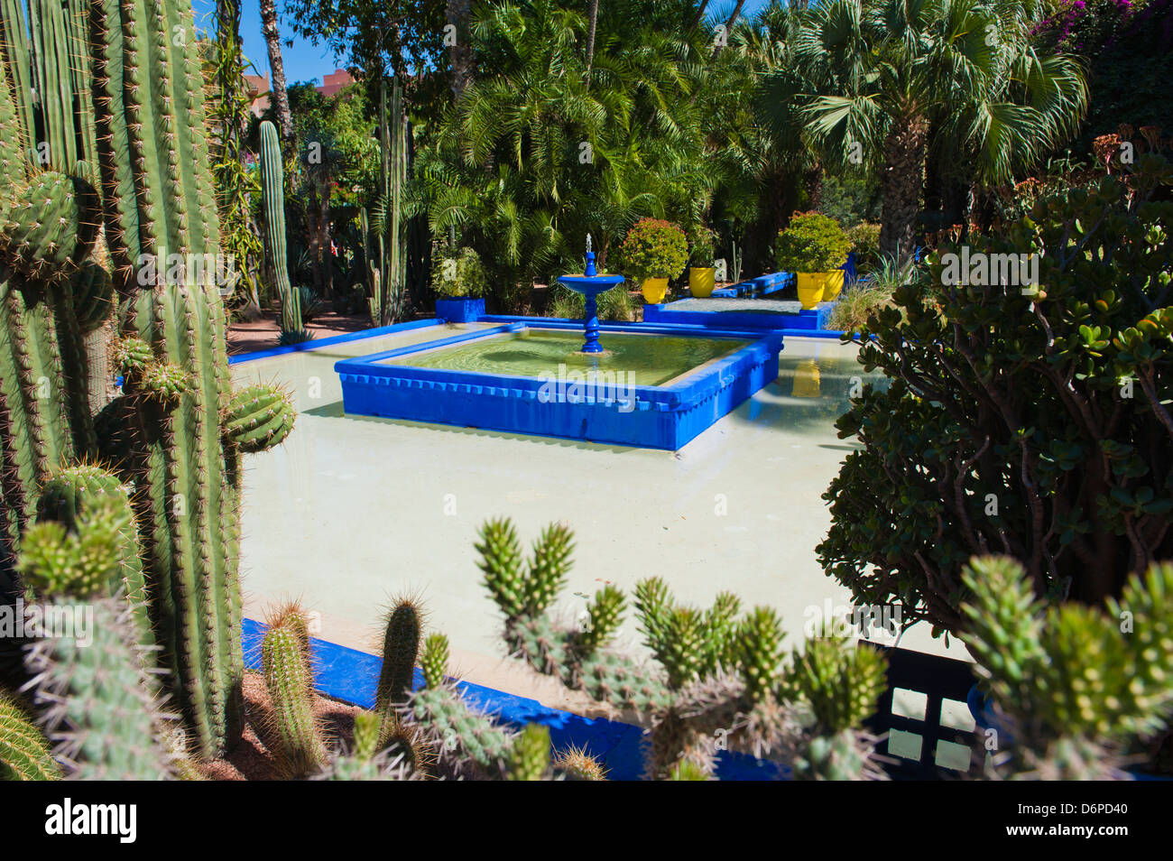 Fontana di blu e cactus nel Giardino Majorelle (giardini di Yves Saint Laurent), Marrakech, Marocco, Africa Settentrionale, Africa Foto Stock