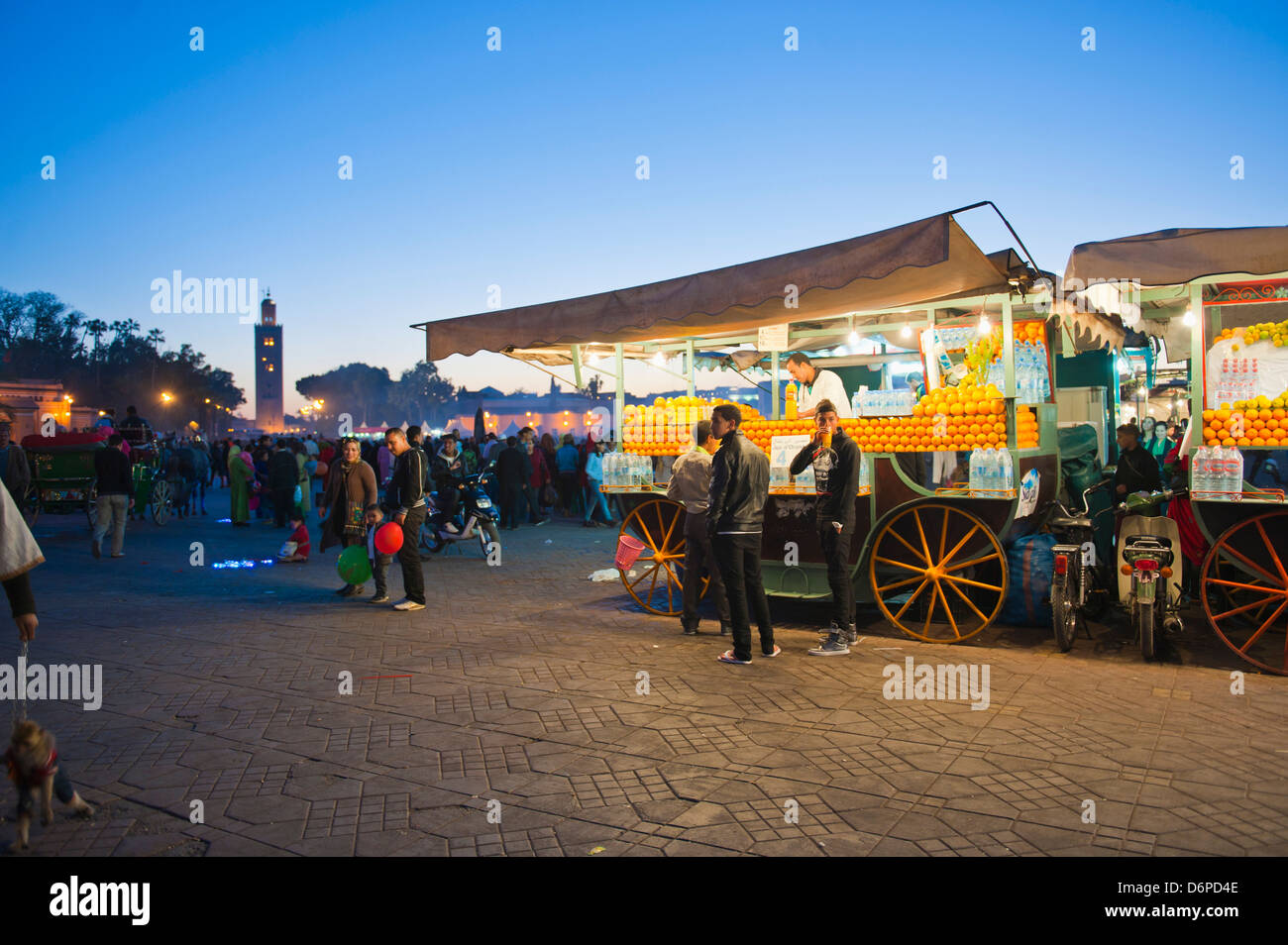 Il succo d'arancia fresco in stallo durante la notte, Piazza Djemaa El Fna a Marrakech, Marocco, Africa Settentrionale, Africa Foto Stock