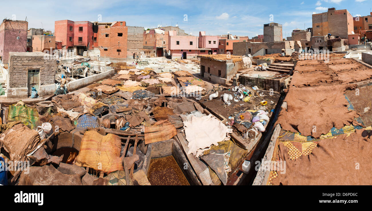 La conceria nella vecchia Medina, Marrakech, Marocco, Africa Settentrionale, Africa Foto Stock