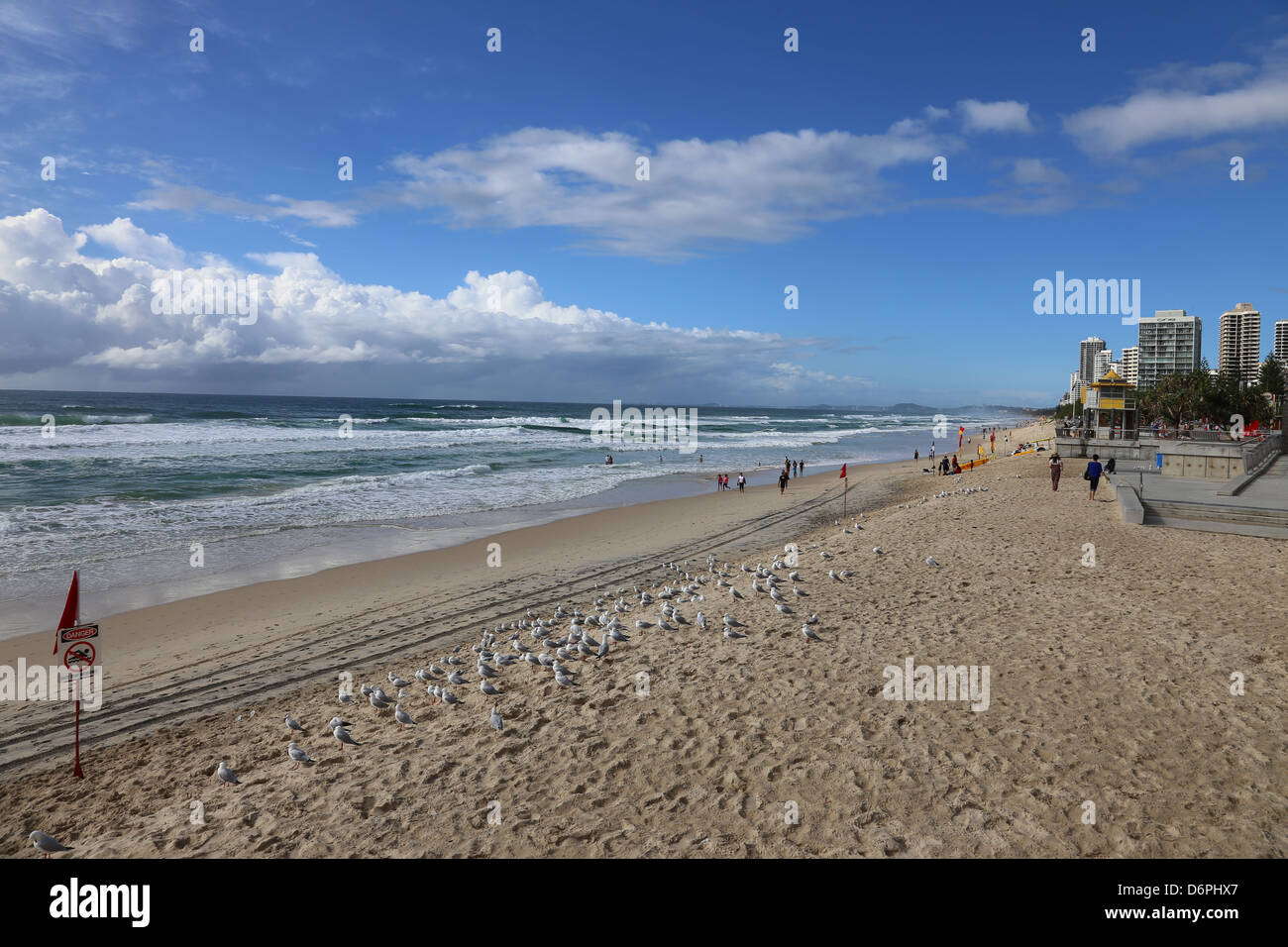 Spiaggia della Gold Coast Sydney Foto Stock